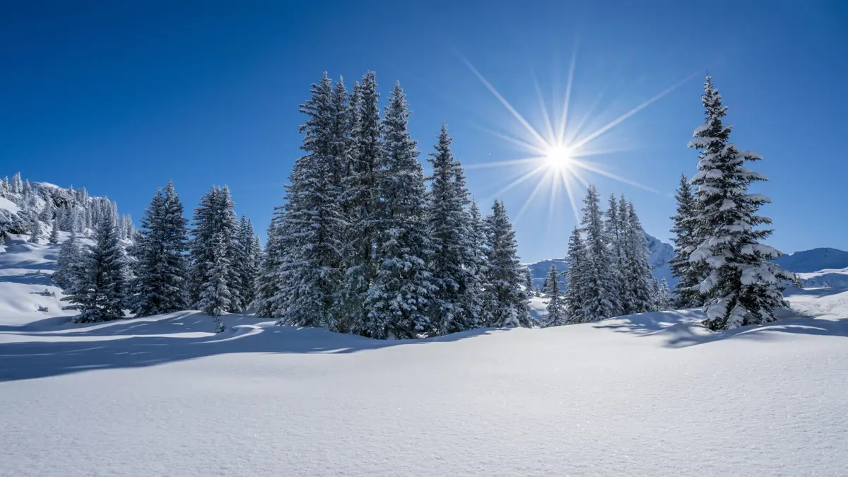 Guide Ski Ski Trivia