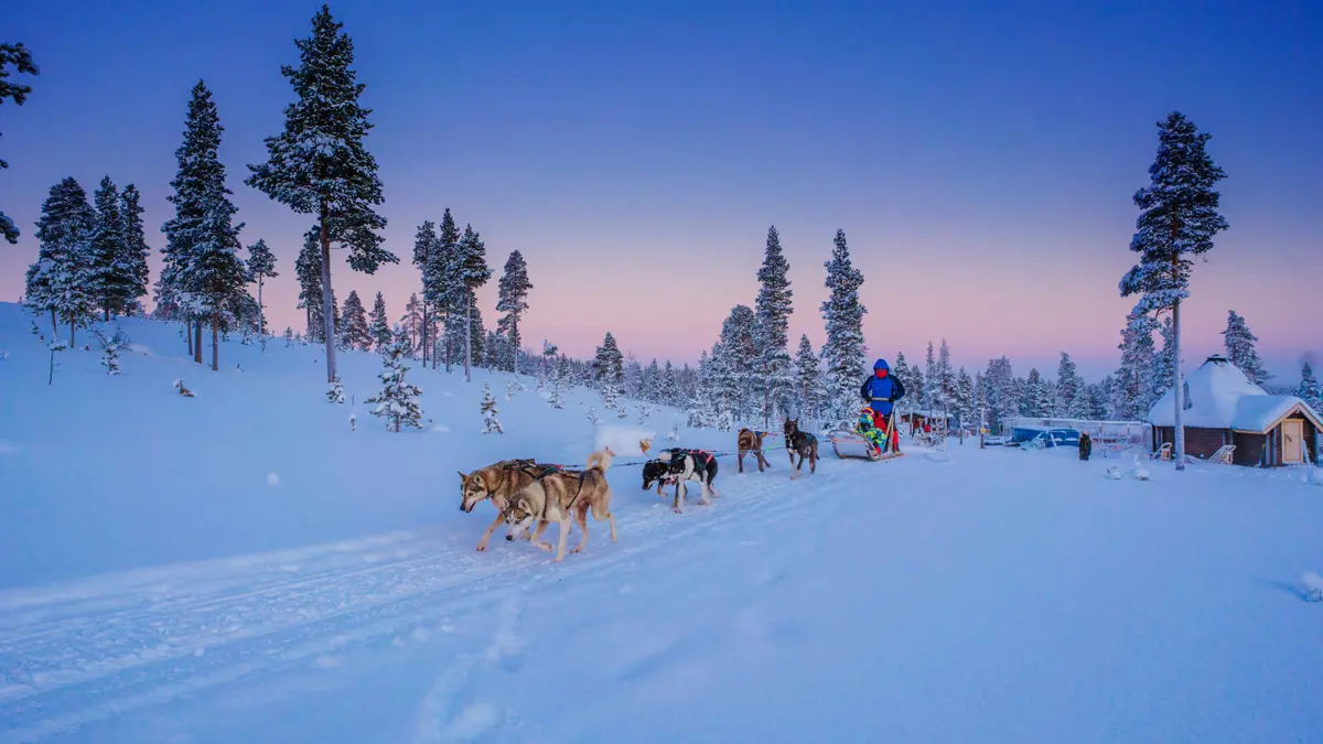 Lapland Saariselka Excursion Husky 4