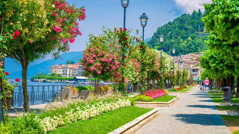 A scenic view of a landscape