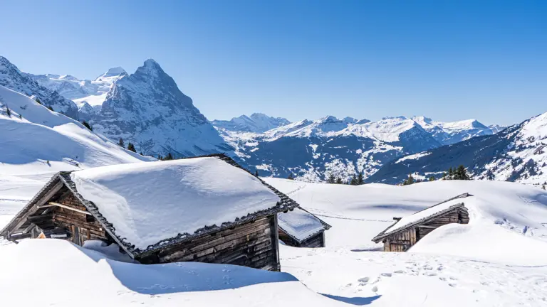 A scenic view of a landscape