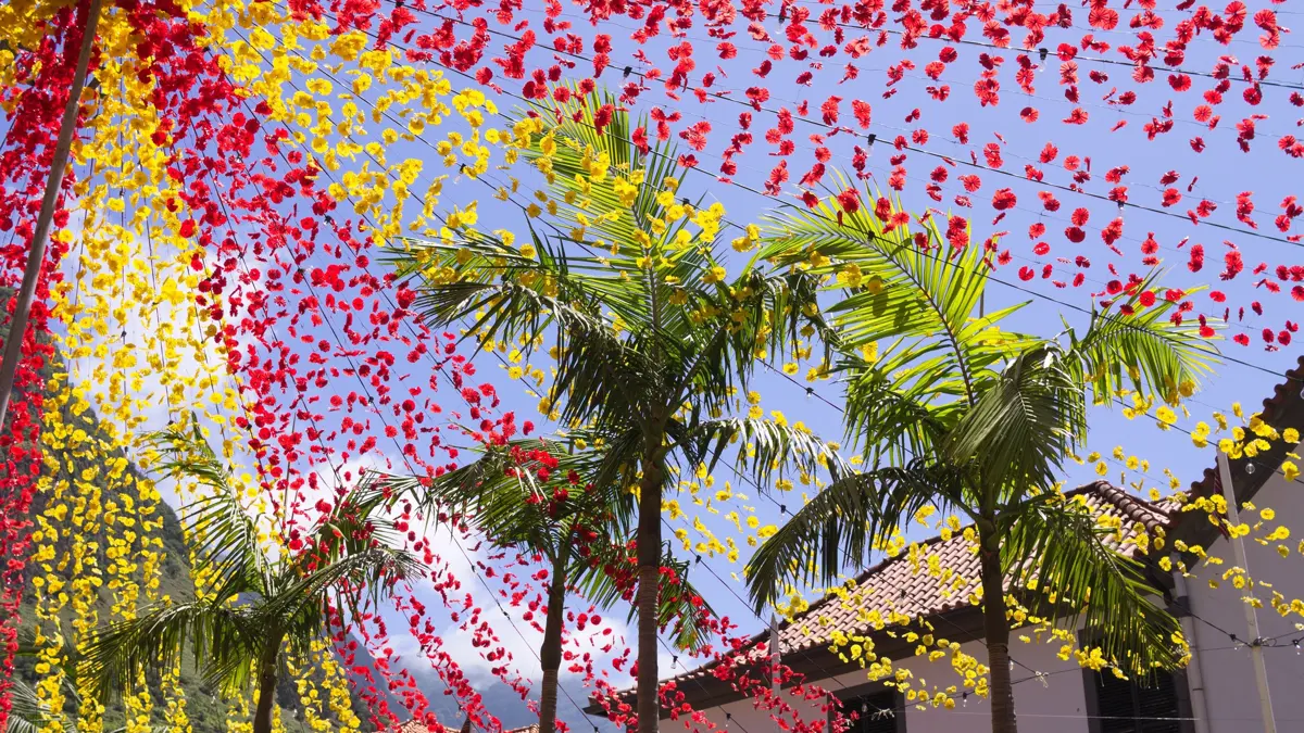 Madeira Flower Festival