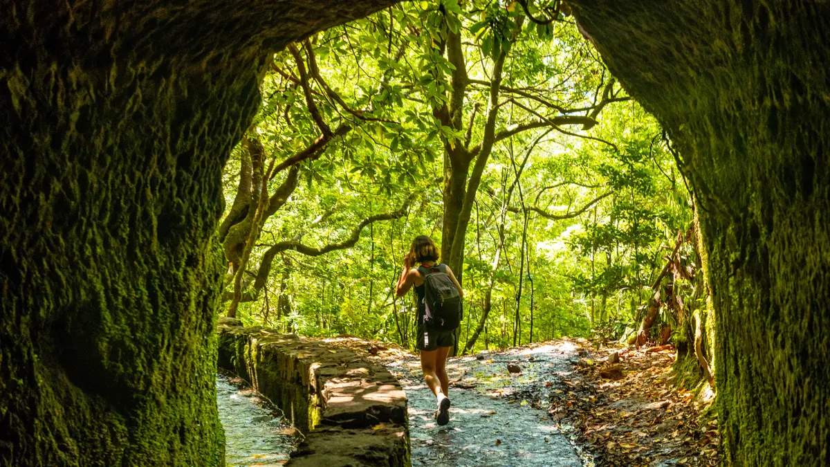 Madeira Walking