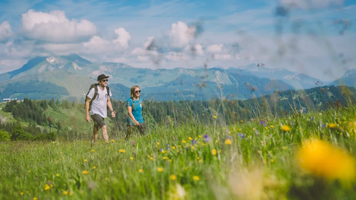 Morzine Hiking Through Meadows Copyright Morzine Avoriaz Sam Ingles