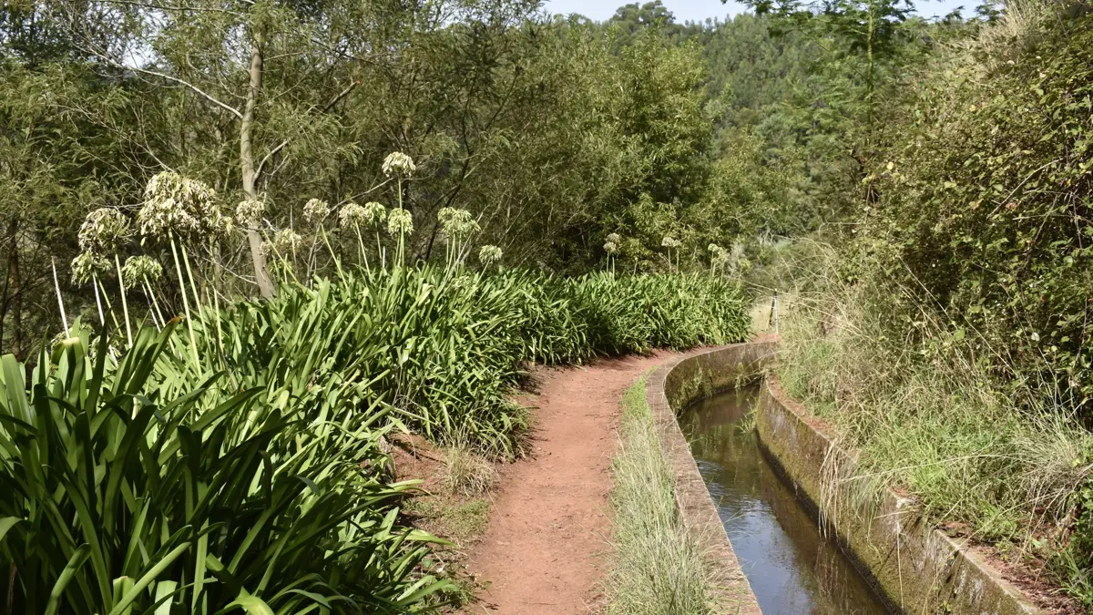Madeira Levada On Paradise Valley Walk