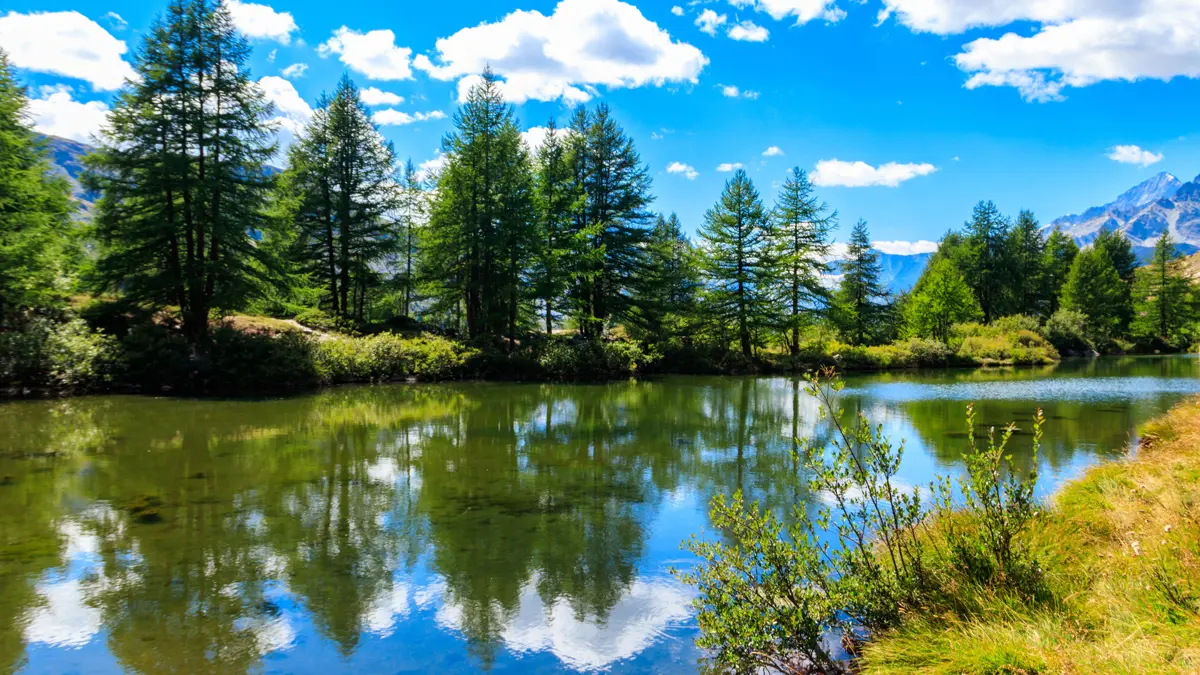 Zermatt Grindji Lake On Five Lakes Walk Adobestock 691660472