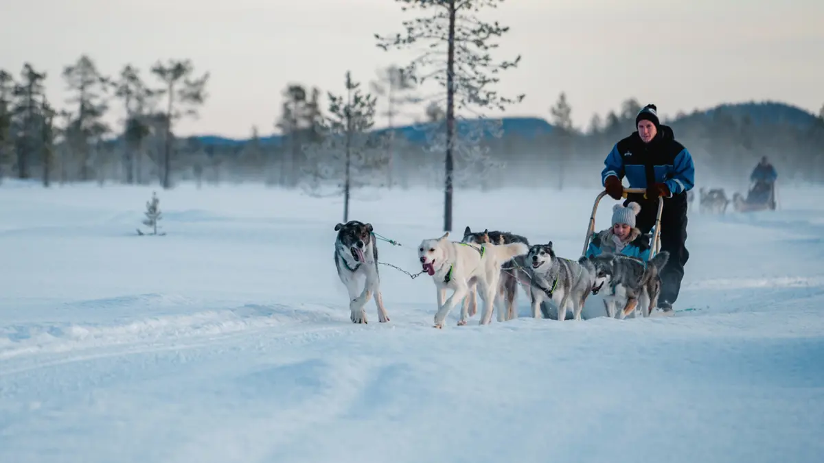 Wilderness Hotels Finland Husky Safari (3)