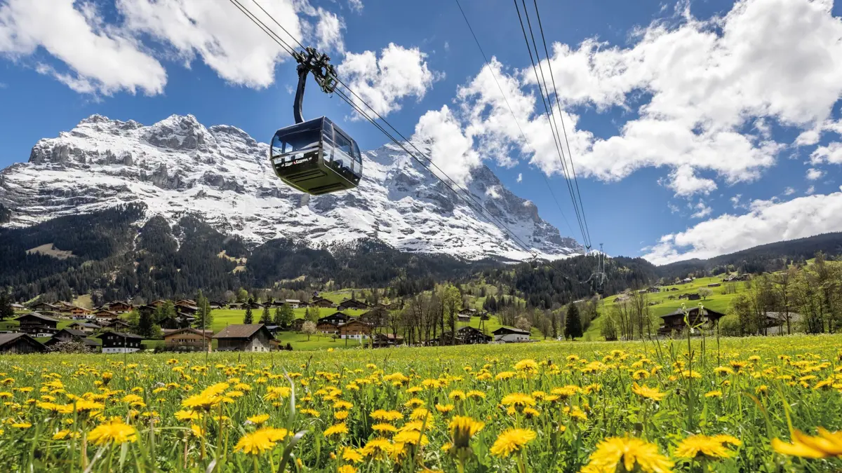 Grindelwald Eiger Express Eiger