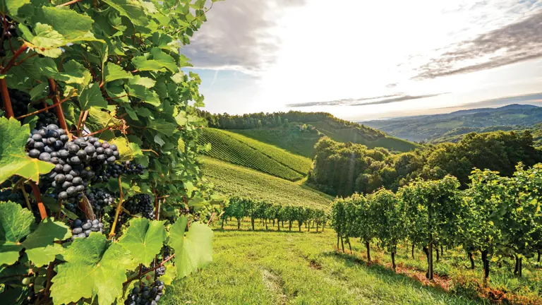 A scenic view of a landscape