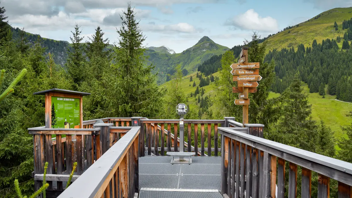 Saalbach Hinterglemm Treetop Walk Viewing Platform Adobestock 487336205