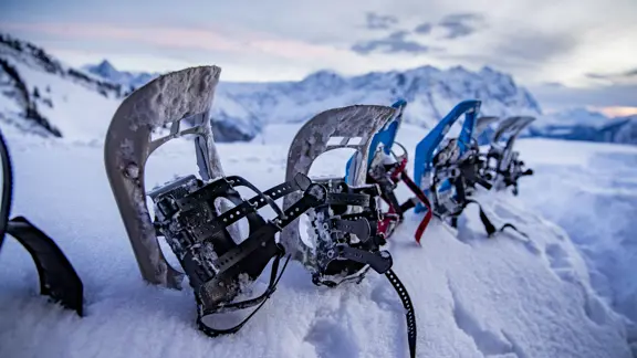 Snowshoe