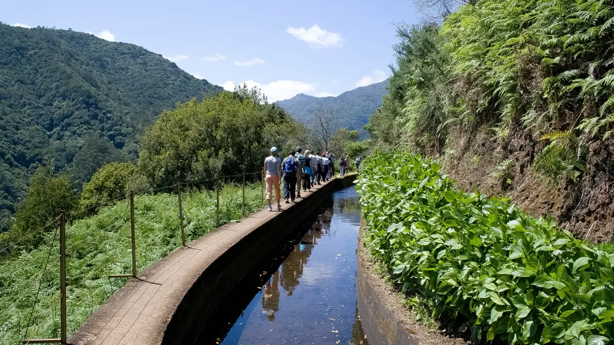 Madeira Levada