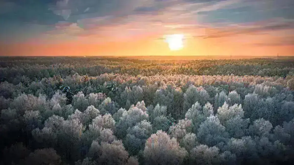 Sustainability