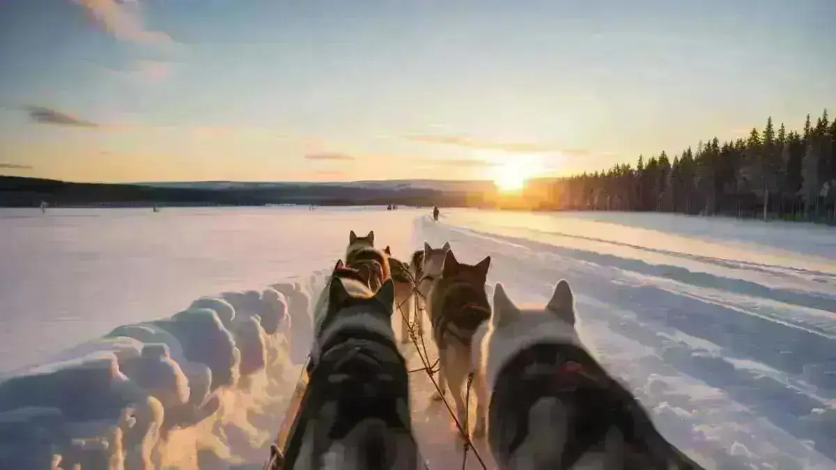 Levi Finland Husky Sledding