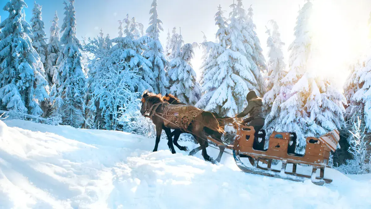 Lapland Horse Excursion Inghams