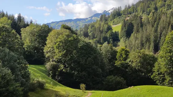 Klosters Saas To Serneus