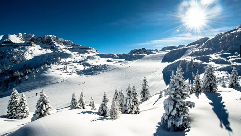 A scenic view of a landscape