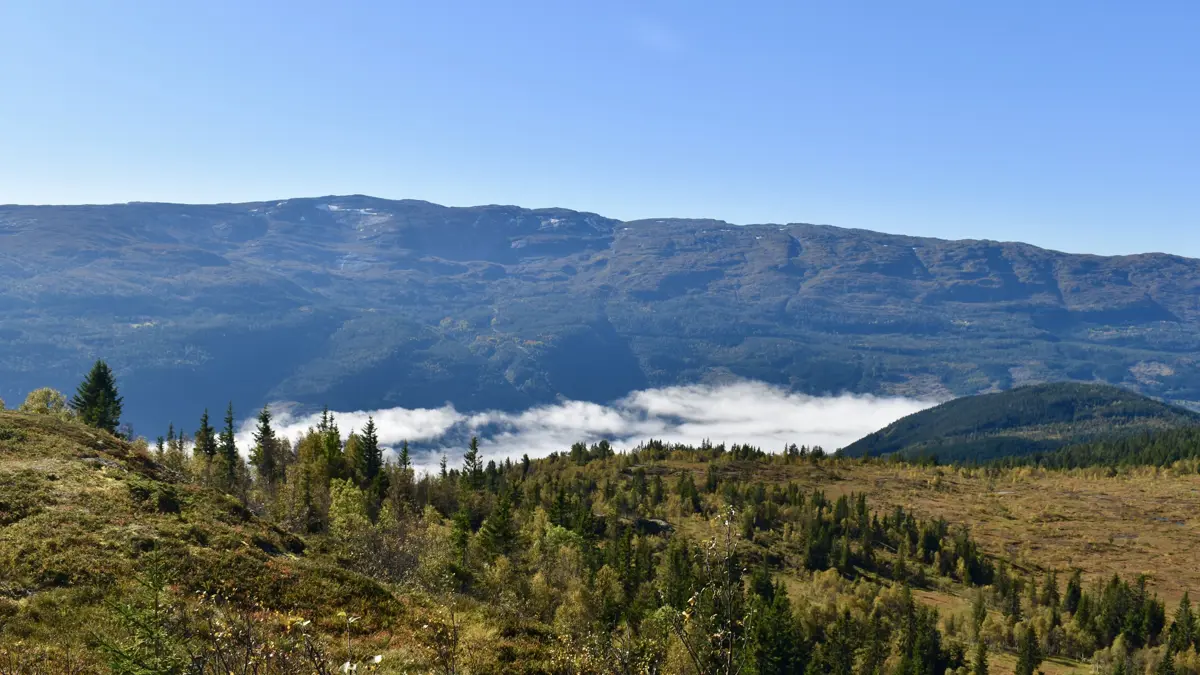 Voss Norway Above Voss By Cable Car
