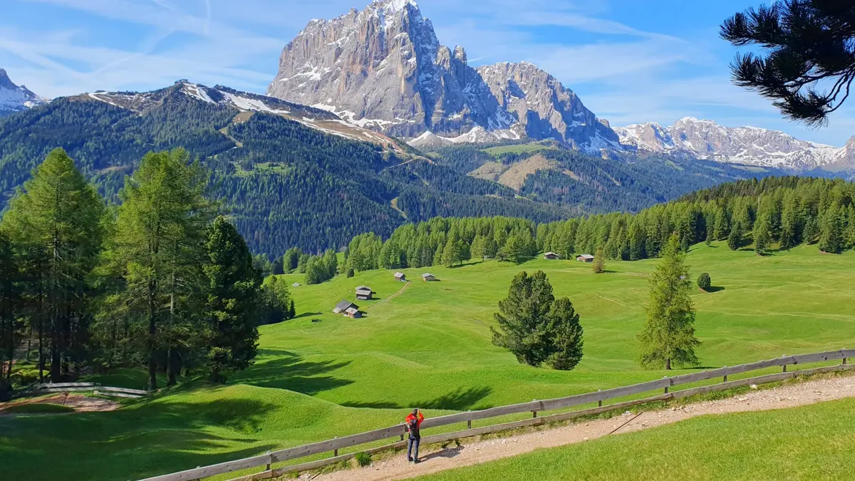 Selva Dolomites Italy UNESCO Puez Odle Natural Park Guided Walk