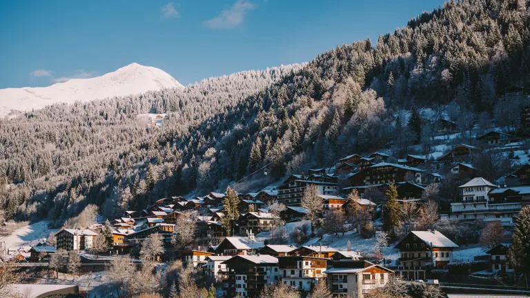 A scenic view of a landscape