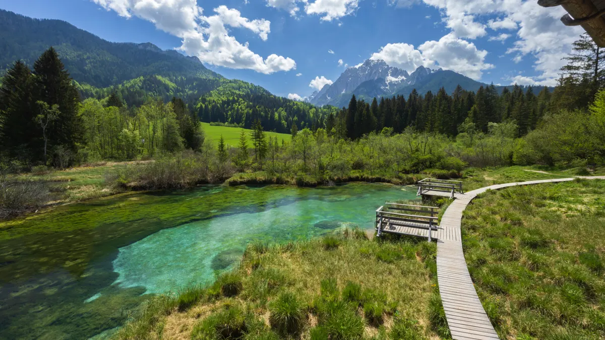 Zelenci Slovenia