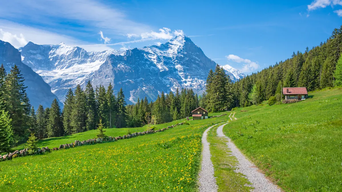 Switzerland Grindlewald