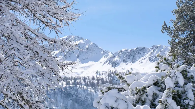 A scenic view of a landscape