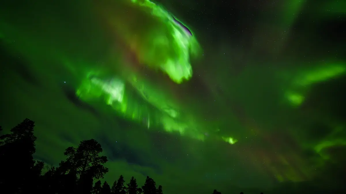 Muotka Wilderness Lodge Saariselka Aurora Borealis 31